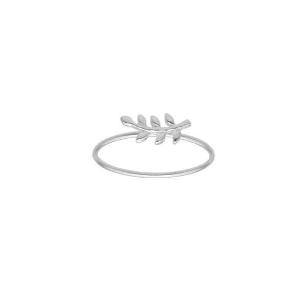 ANILLO ESPIGA